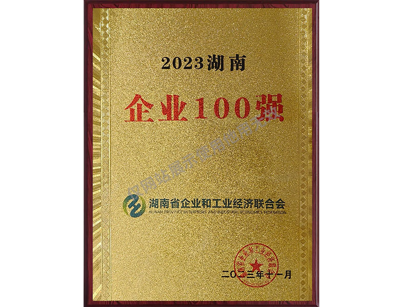 2023湖南企業(yè)100強(qiáng)