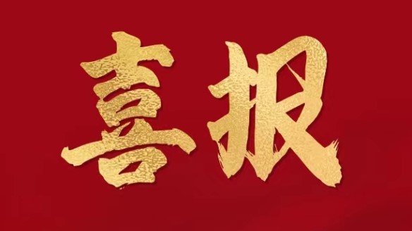 集團(tuán)榮膺中國(guó)民營(yíng)企業(yè)五百?gòu)?qiáng)第288位